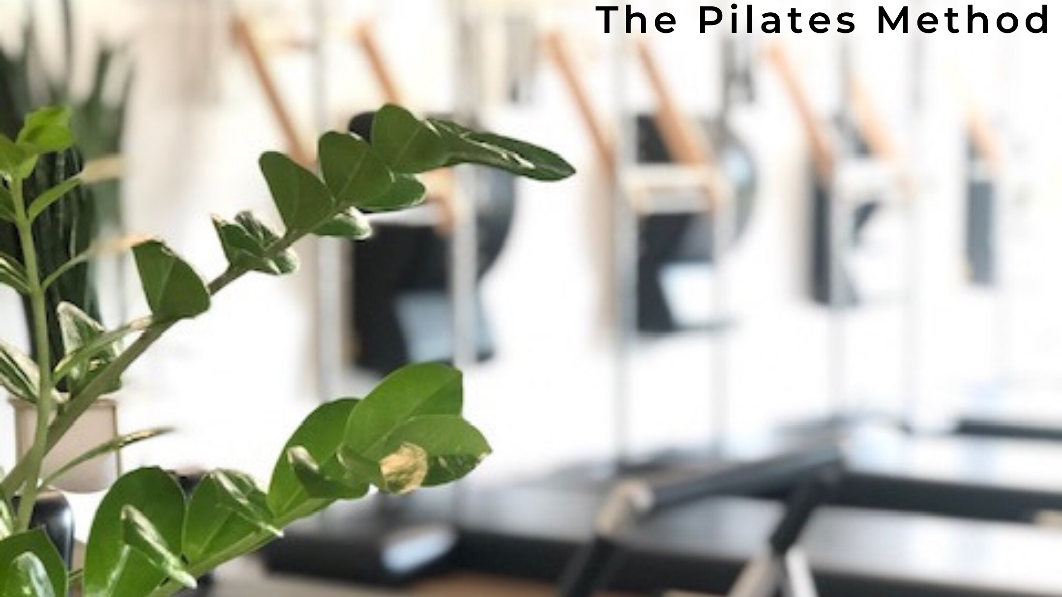 Equilibrium Studio Bloomfield Hills